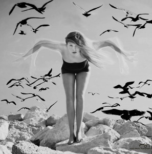 She gull