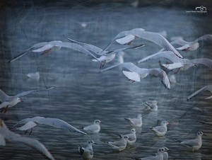 Departure