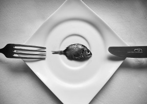 Modest Lunch