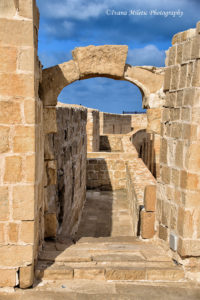 Alexandria, Egypt III