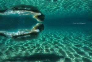 Dolphin Woman