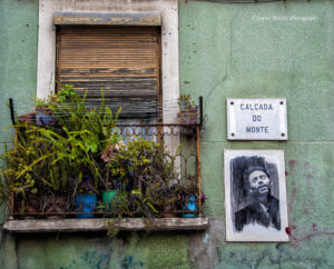 Lisbon V