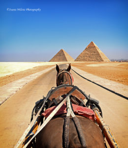 Giza Pyramids III