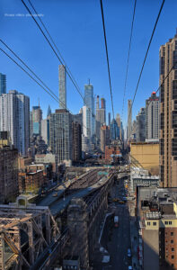 NY
