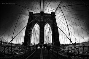NY