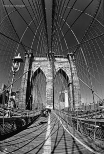 NY